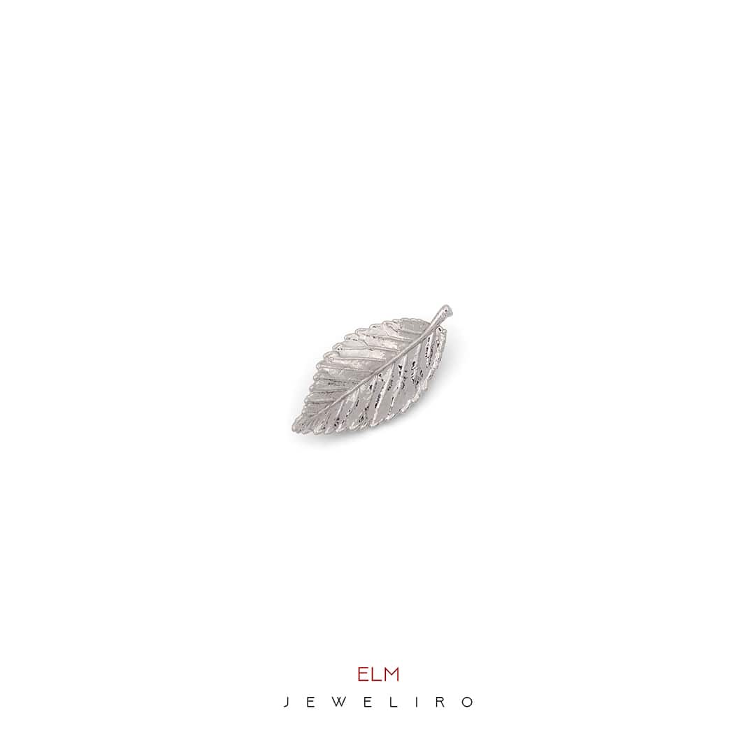 Elm-rhodium-brooch-JLJBW03061-min گل سینه برگ نارون روکش رودیوم کد JL.JBW.03061