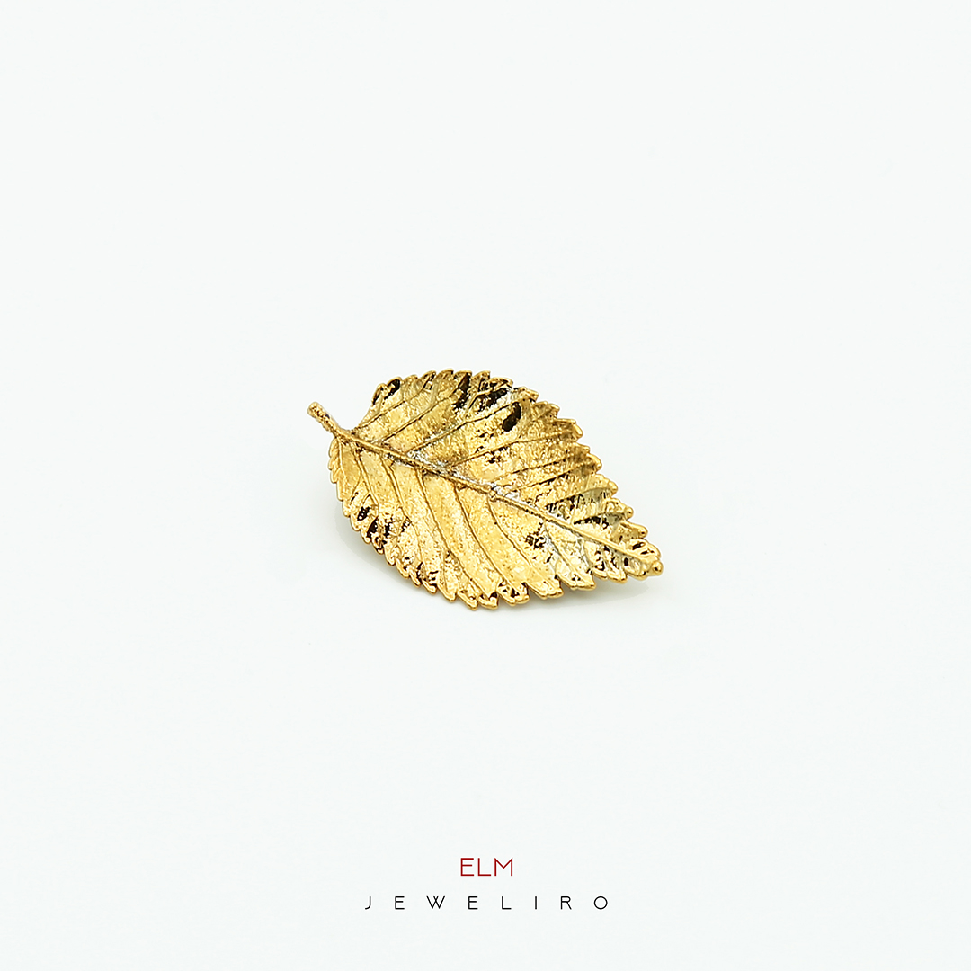 Gold-Leaf-woman-Brooch-JL.JBG.03062 گل سینه برگ نارون با آبکاری طلا زرد