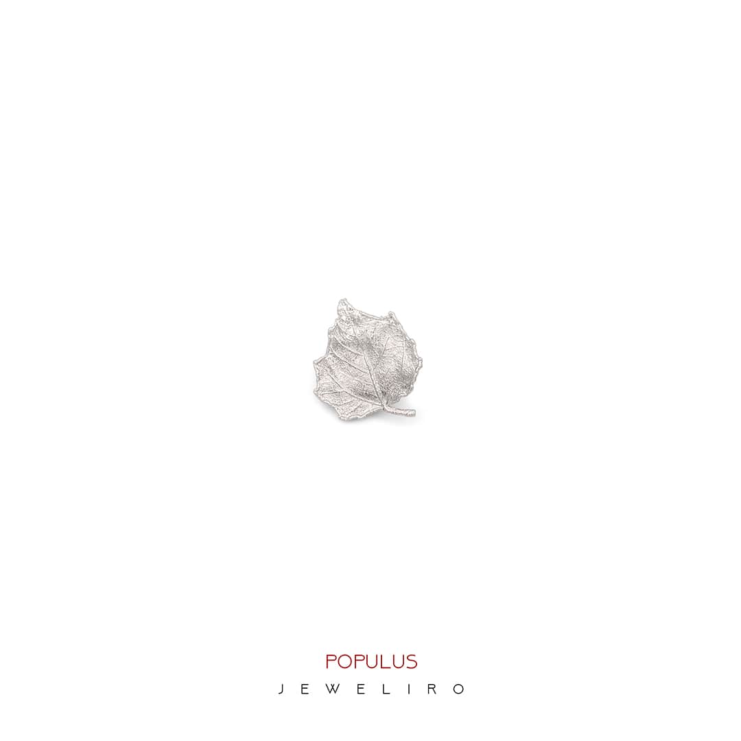 Populus-rhodium-brooch-JL.JBW.00094-min گل سینه برگ صنوبر روکش رودیوم کد JL.JBW.00094