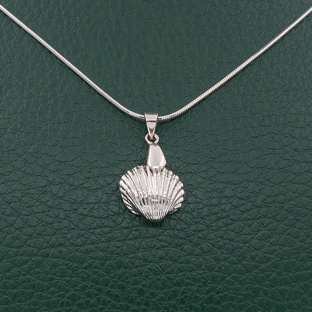 قیمت آویز دخترانه صدف دریایی anadara